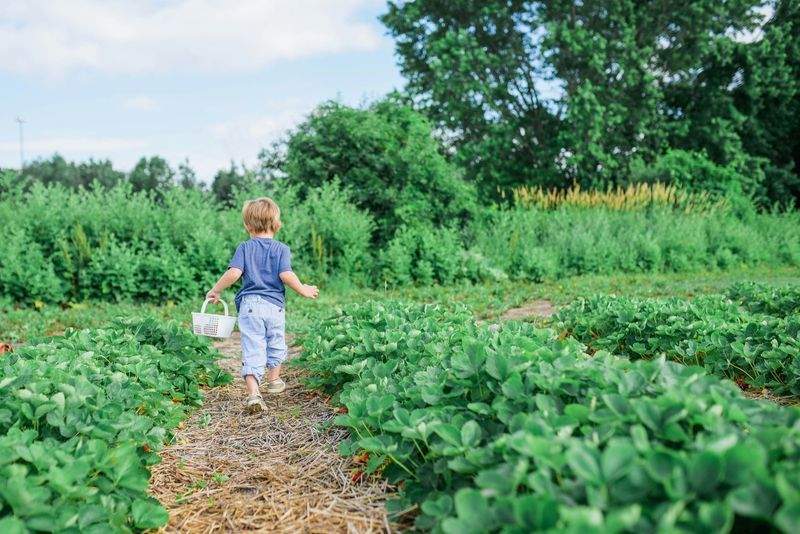 Spring Garden Prep for a Healthier Growing Season